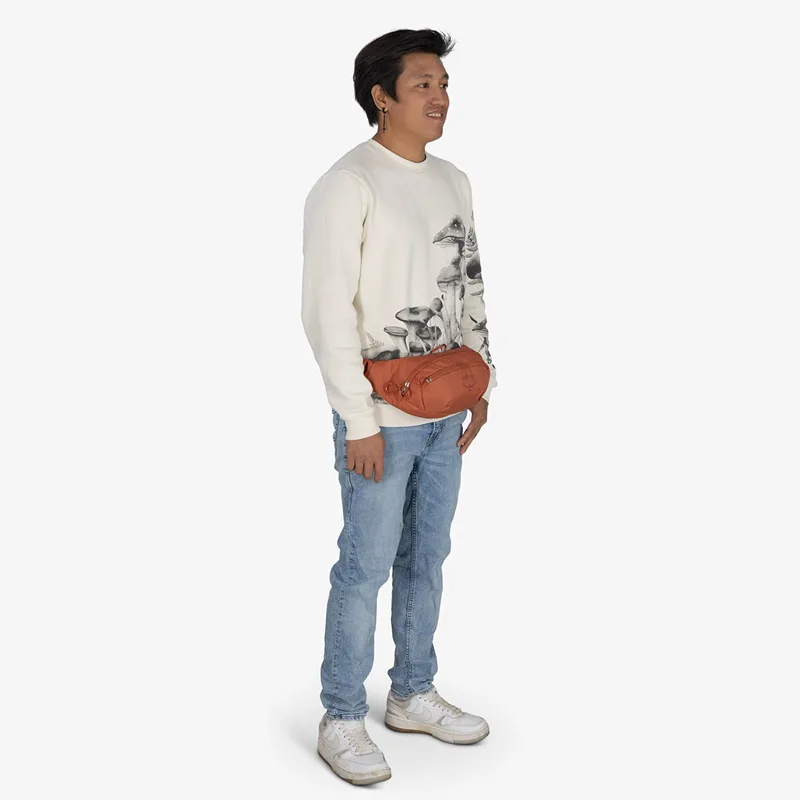 Τσαντάκι μέσης Osprey Daylite Waist Porcelain Πορτοκαλί Universal