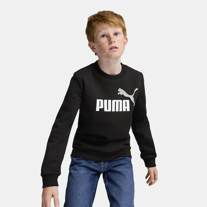 Puma Ess+ 2 Col Big Logo Crew Fl B (9000193664_79618)