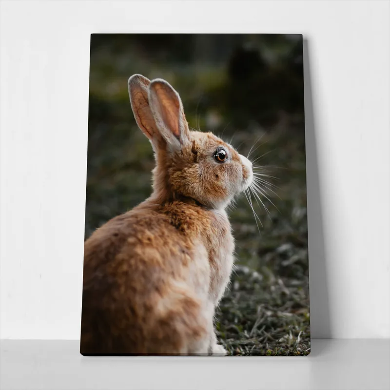 Πίνακας σε Καμβά RUSTIC FARMHOUSE RABBIT 3