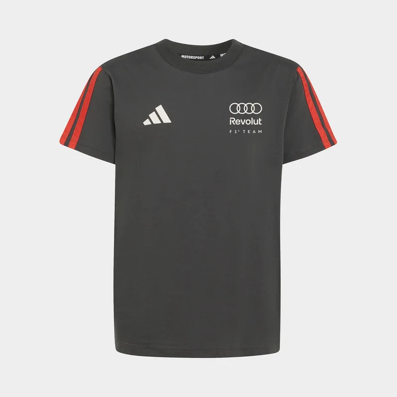 adidas K Audi Revolut F1 Team Dna Tee (9000274507_24617)