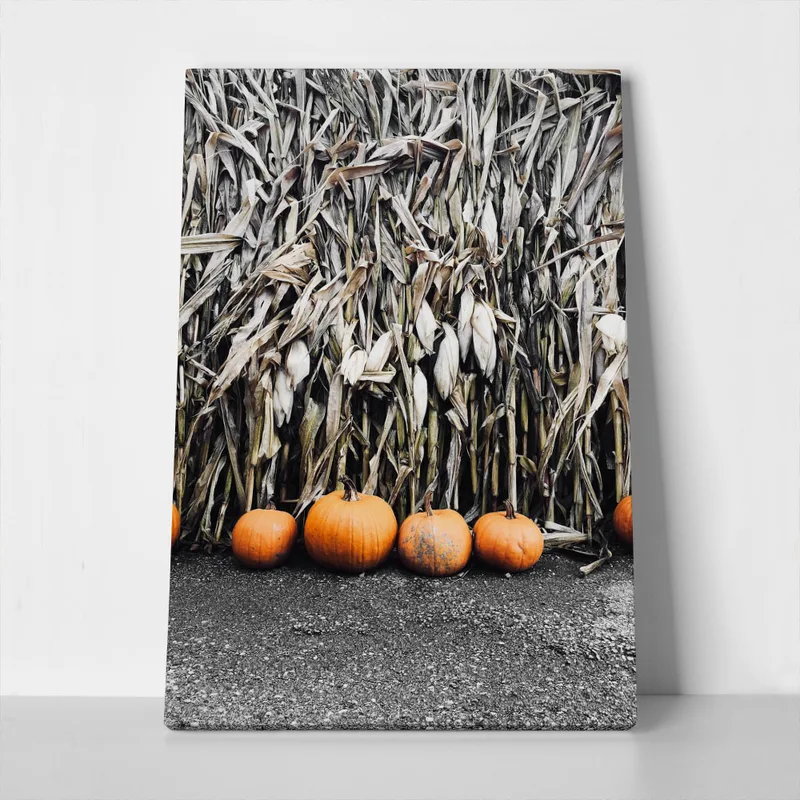 Πίνακας σε Καμβά RUSTIC FARMHOUSE PUMPKINS 5