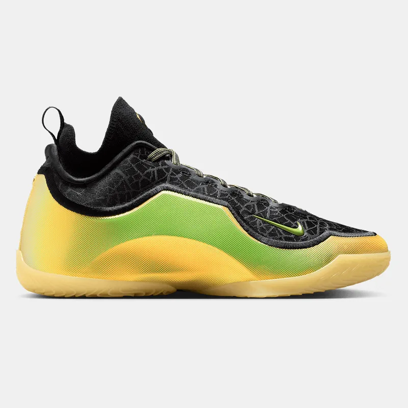 Nike Lebron 23 Elite Ανδρικά Μπασκετικά Παπούτσια (9000257643_90782)