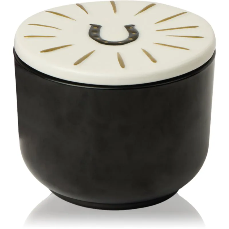Paddywax Charmed Tabac & Pine αρωματικό κερί με καπάκι 226 γρ
