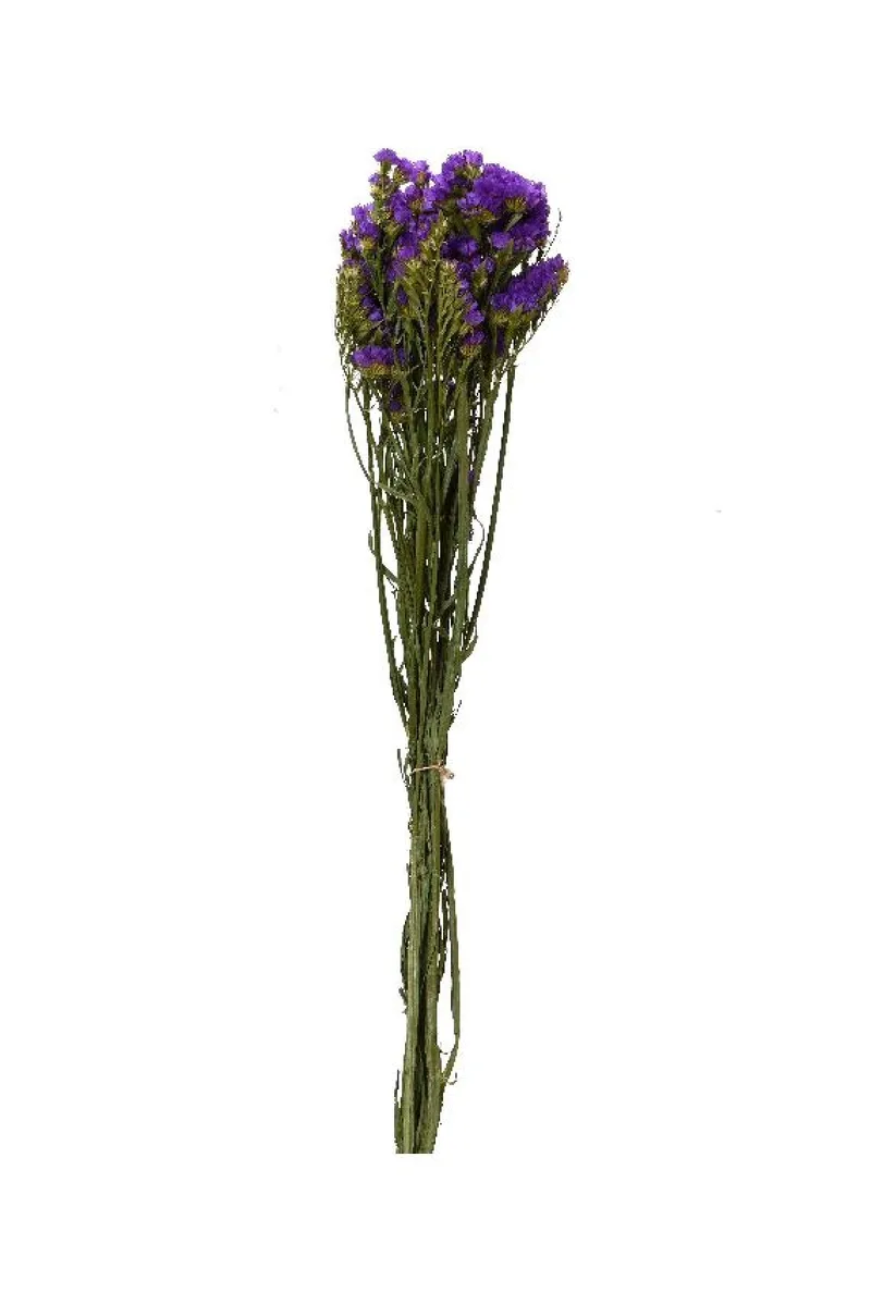 Μπουκετο Αποξηραμενο 55Cm 14x14x55cm Μώβ Kaeming