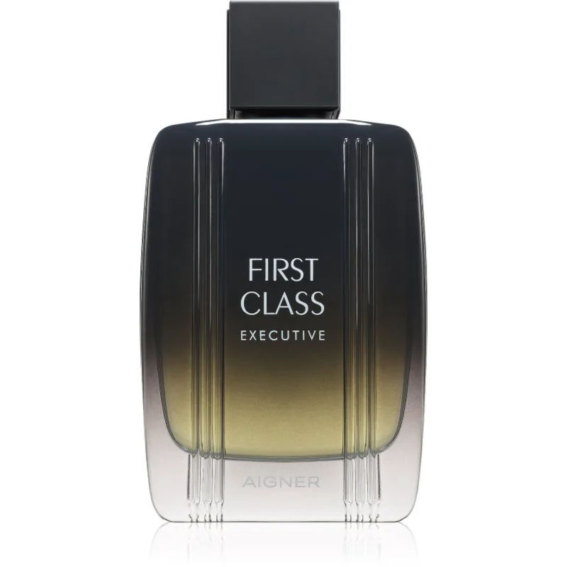 Etienne Aigner First Class Executive Eau de Toilette για άντρες 100 ml