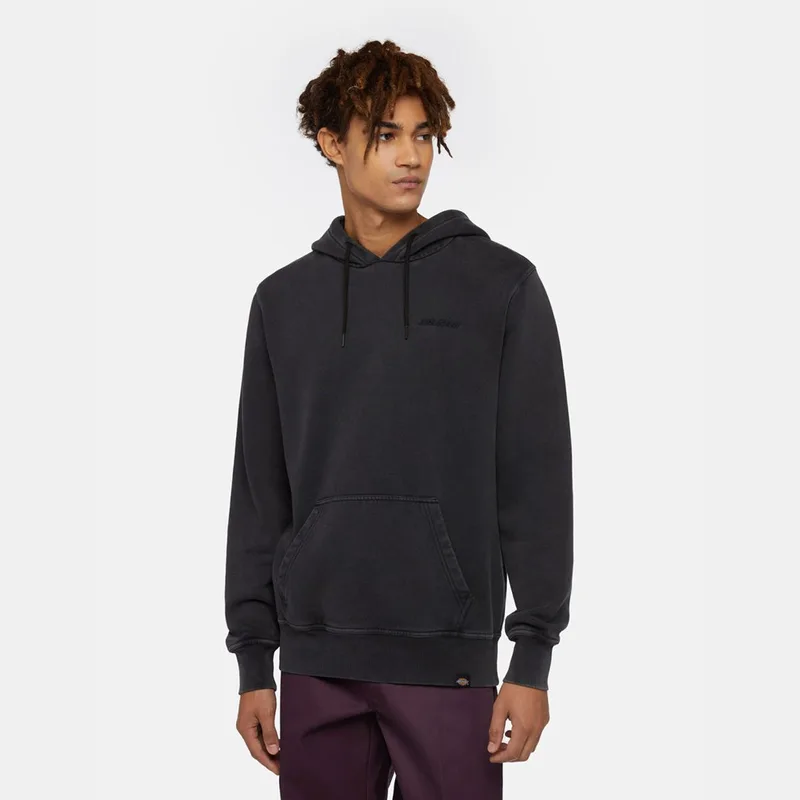 Dickies Plentywood Hoodie Black (9000189111_1469)
