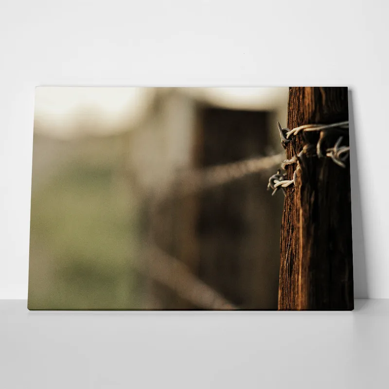 Πίνακας σε Καμβά RUSTIC FARMHOUSE BARBWIRE 2