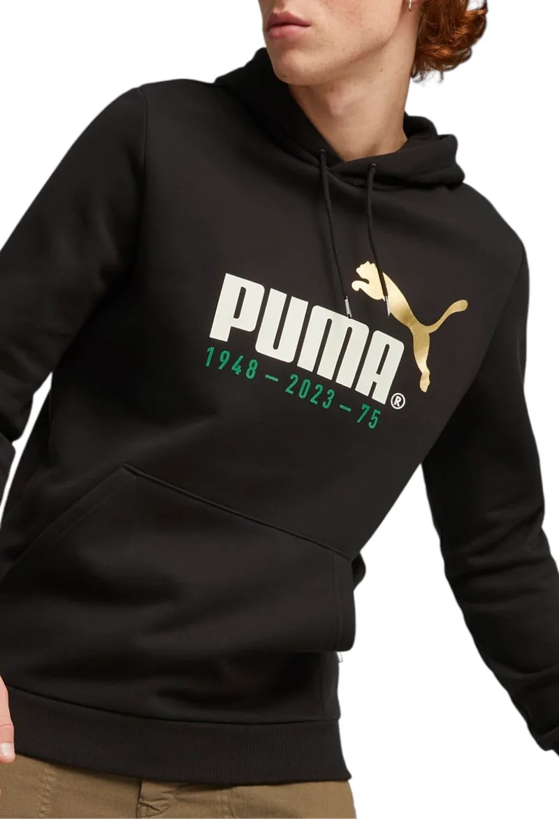 Μπλούζα Μακρυμάνικη Puma Logo Celebration Hoodie FL 676021-01 Ανδρικό