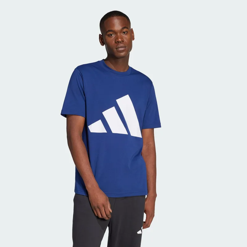 adidas Sportswear Essentials Big Logo Ανδρικό T-Shirt (9000217003_66159)