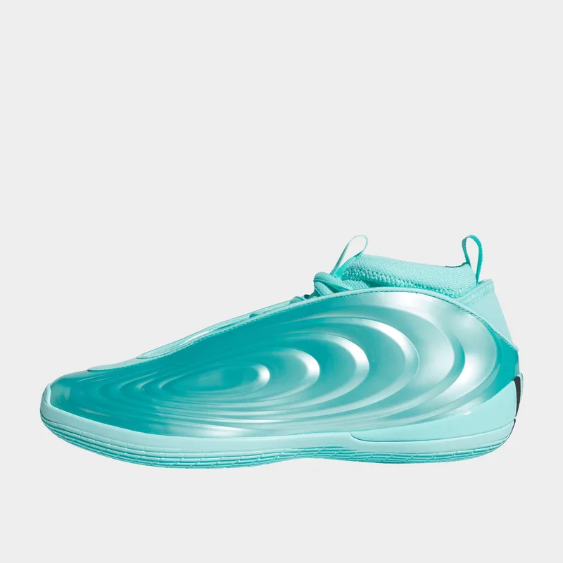 adidas Harden Volume 10 (9000283146_95265)