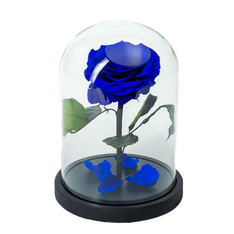 Beauty & The Beast Μπλέ Deluxe 18x25cm