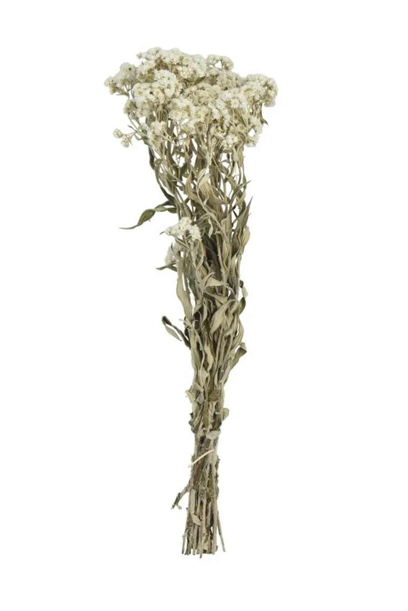Μπουκετο Αποξηραμενο 55x25x55cm Σχέδιο 2 Kaeming