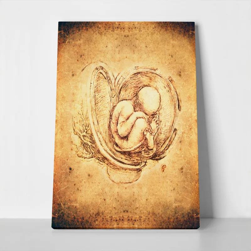 Πινακας σε καμβά DA VINCI - STYLE FETUS