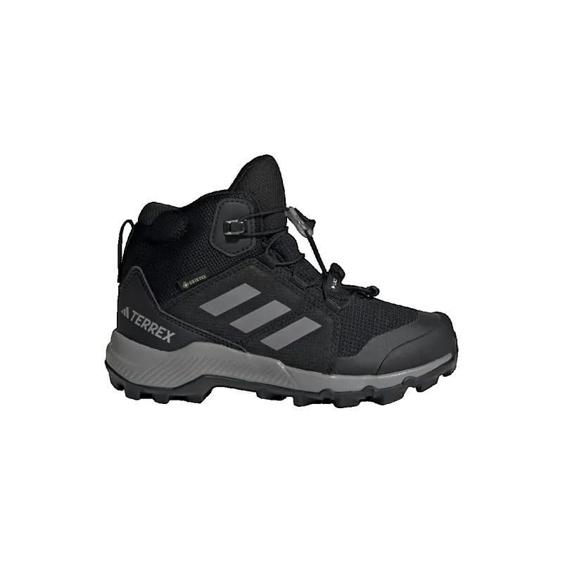 Πεζοπορίας adidas Organizer Goretex