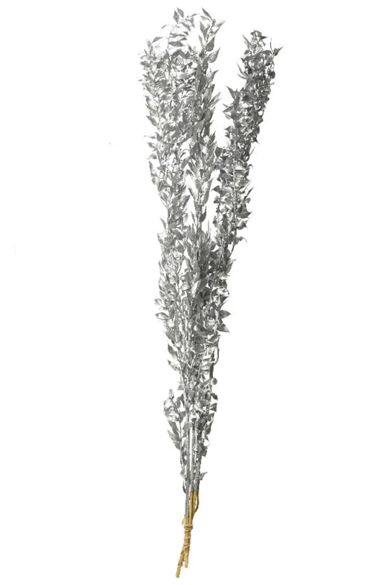 Κλαδι Λαγομηλιας 62x12x4cm Ασημί Kaeming