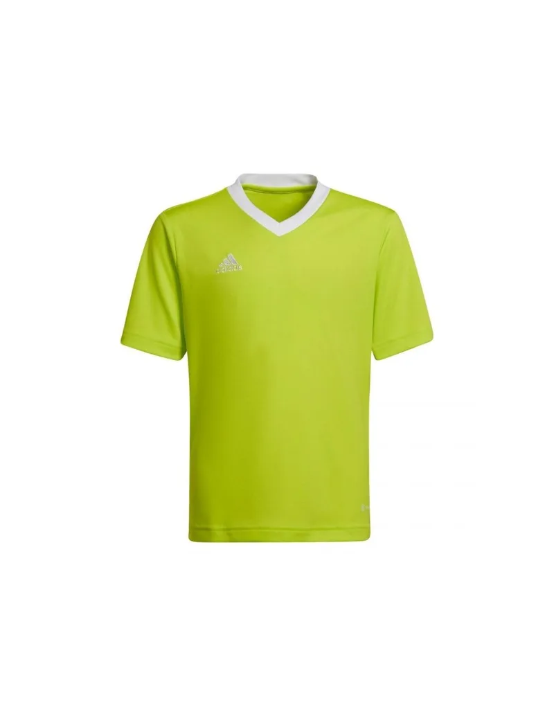 Adidas Παιδικό T-shirt Πράσινο HC5079
