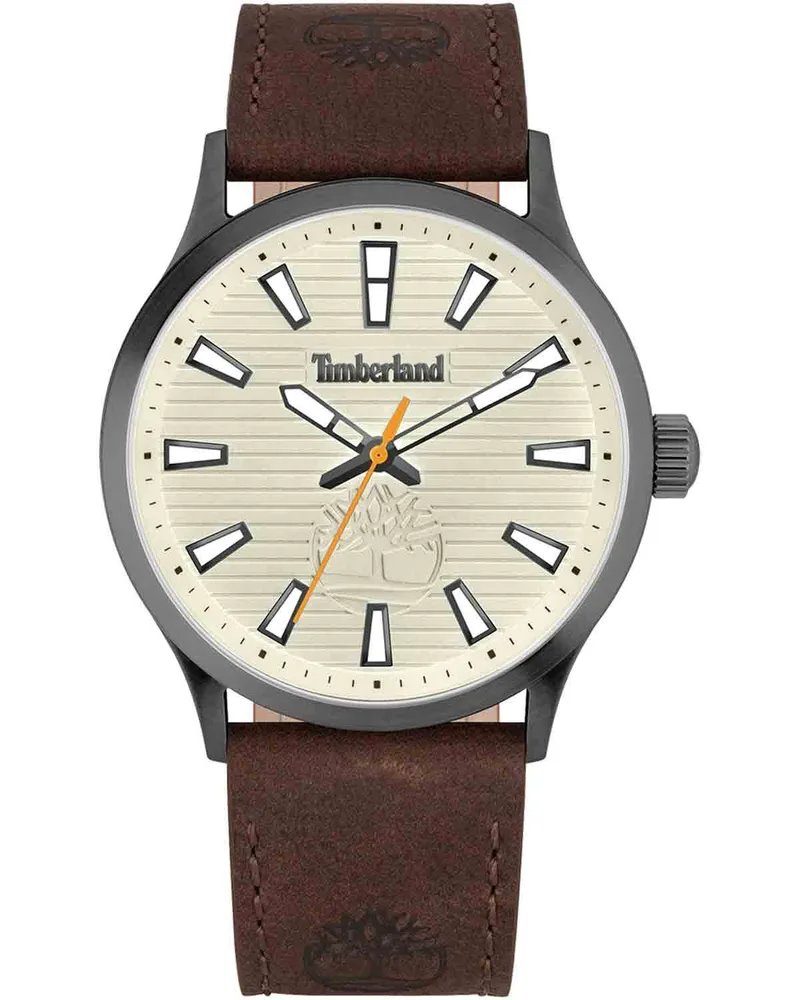 TIMBERLAND Trumbull - TDWGA2152004, Anthracite case with Brown Leather Strap