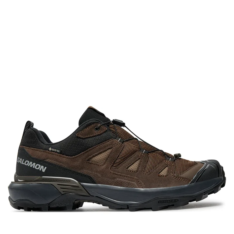 Παπούτσια πεζοπορίας Salomon X Ultra 360 Leather Gore-Tex L47571200 Καφέ