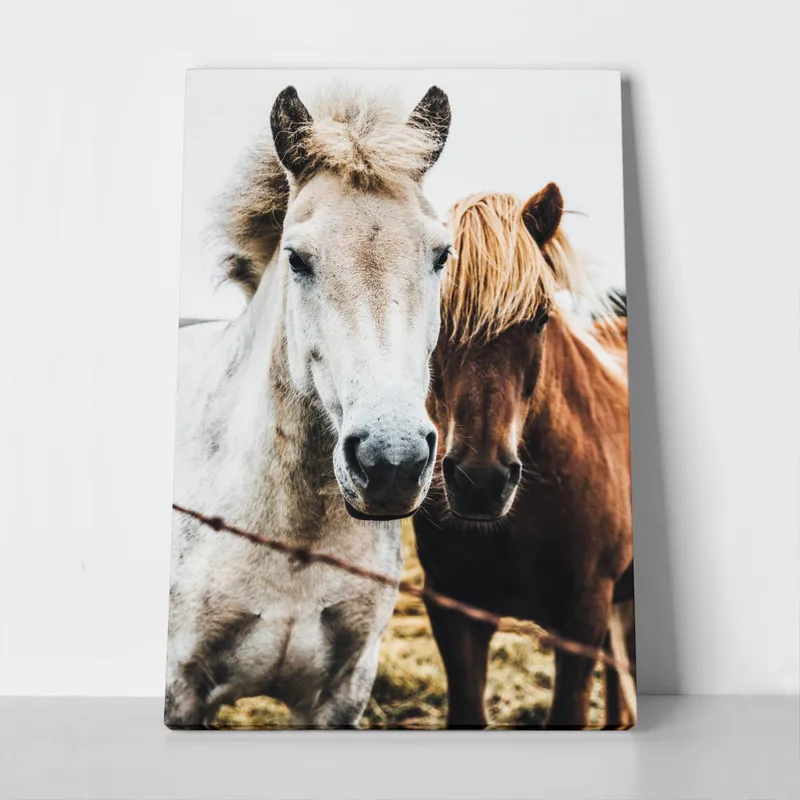 Πίνακας σε Καμβά RUSTIC FARMHOUSE HORSES