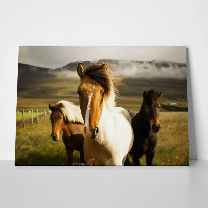 Πίνακας σε Καμβά RUSTIC FARMHOUSE HORSES 6
