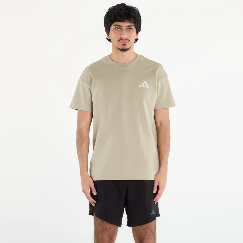 T-shirt adidas Terrex Xploric Graphic T-Shirt Wonder Cargo XL