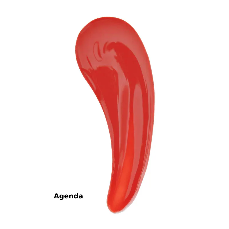 MUA Nourishing Lip Gloss Agenda