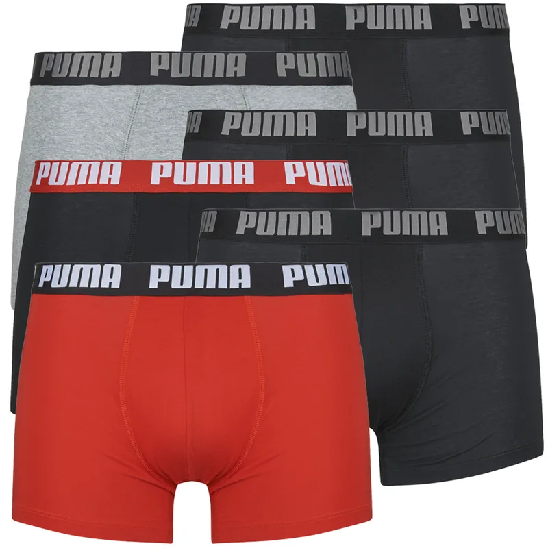 Boxer Puma PUMA BASIC X6