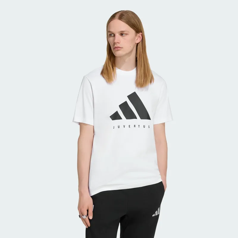 adidas Juventus Turin Dna Graphic T-Shirt (9000290254_1539)