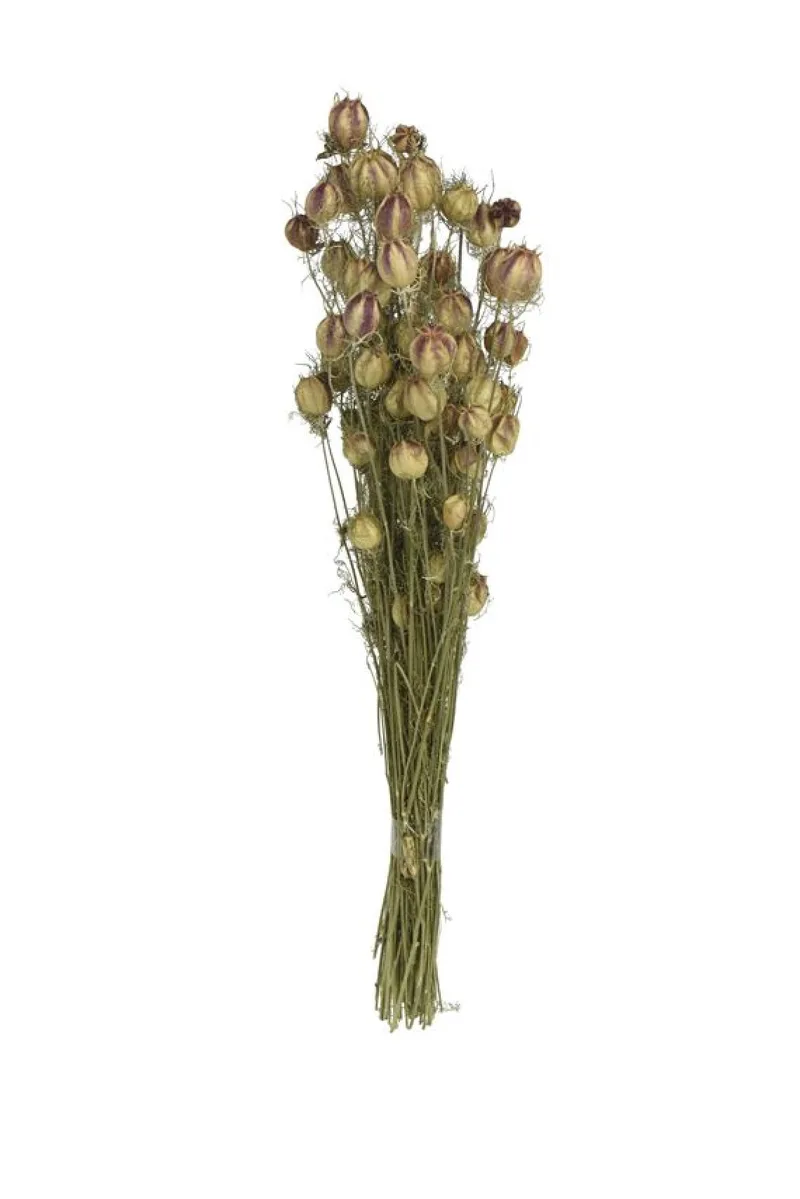Μπουκετο Αποξηραμενο 55x25x55cm Πράσινο Kaeming