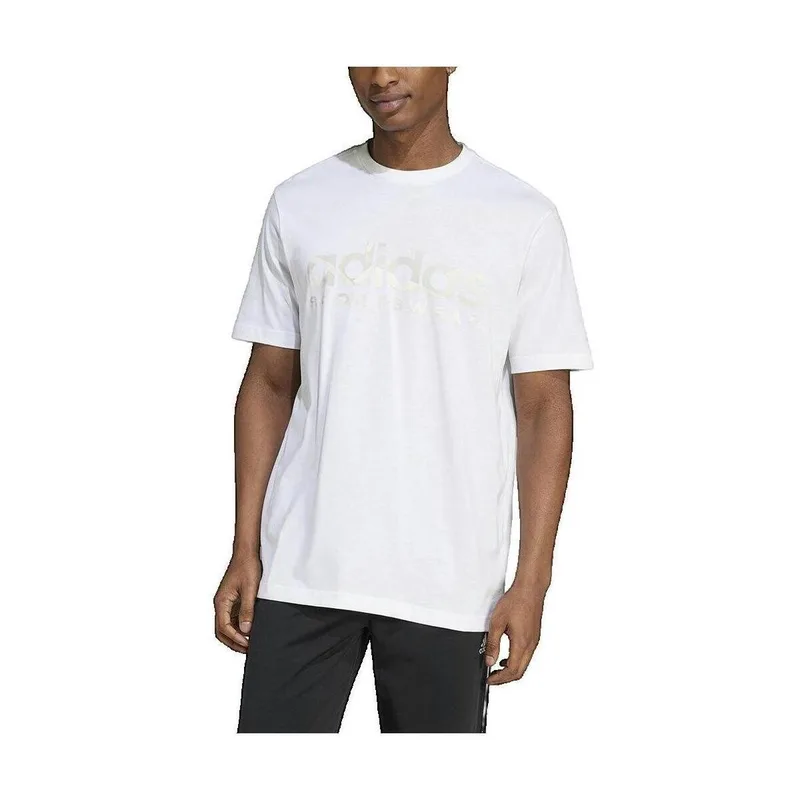 T-shirt με κοντά μανίκια adidas T-shirt House Of Tiro Summer Linear blanc
