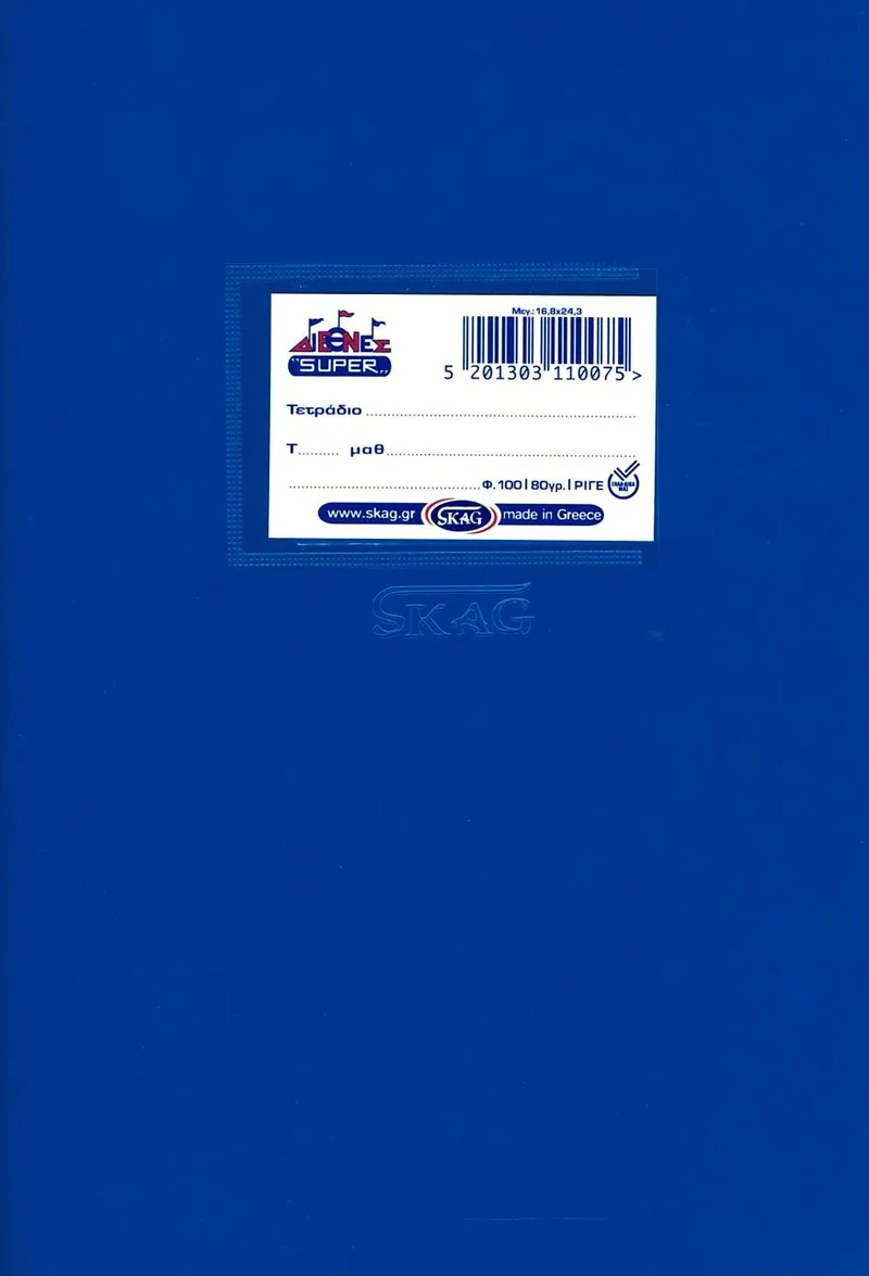 Τετράδιο καρφίτσα ριγέ Skag Διεθνές Super 100 φύλλα 17x25 - Μπλε