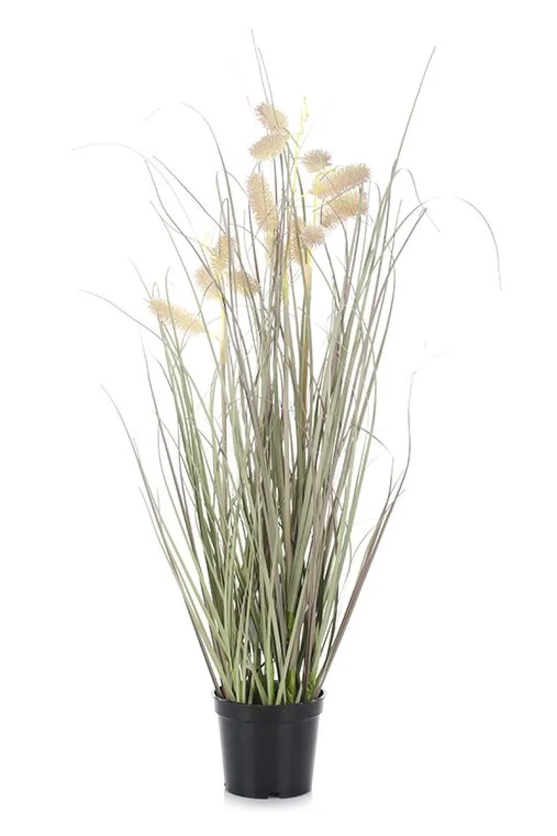 Γρασιδι Σε Γλαστρα Με Ανθος 60Cm 20x20x60cm Μονόχρωμο Kaeming