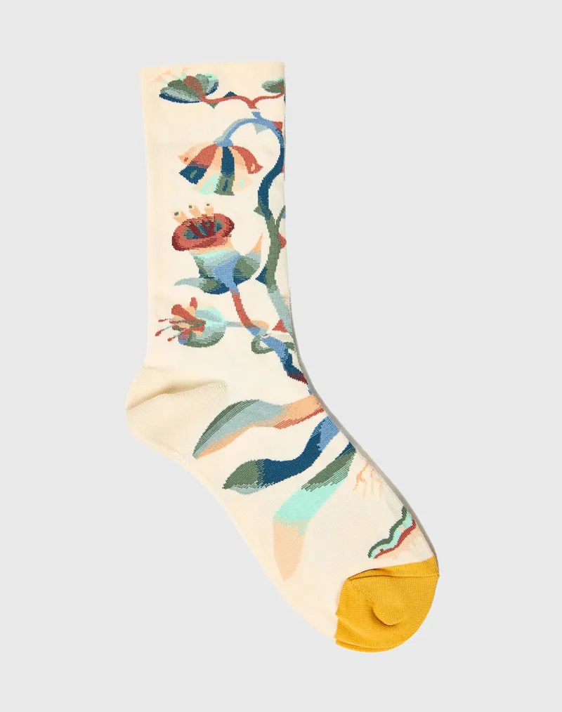 FUNKY BUDDHA Underwear & Socks FBL013-408-10-MULTI Multi
