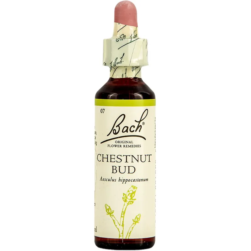 Bach Chestnut Bud Συμπλήρωμα Διατροφής Ανθοϊάματος με Εκχύλισμα Αγριοκαστανιάς για Ενίσχυση της Αποφασιστικότητας & της Αντίληψης 20ml