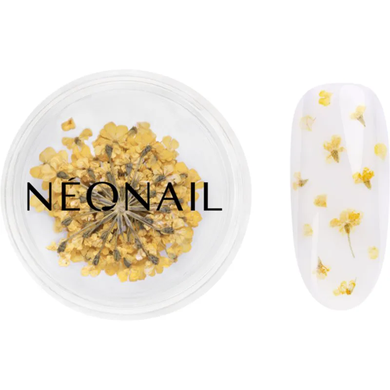 NEONAIL Dried Flowers αποξηραμένο λουλούδι Για τα νύχια απόχρωση 07 Yellow 1 τμχ