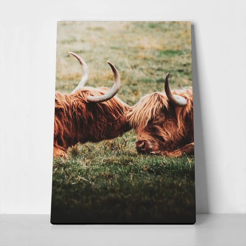 Πίνακας σε Καμβά RUSTIC FARMHOUSE COWS 3
