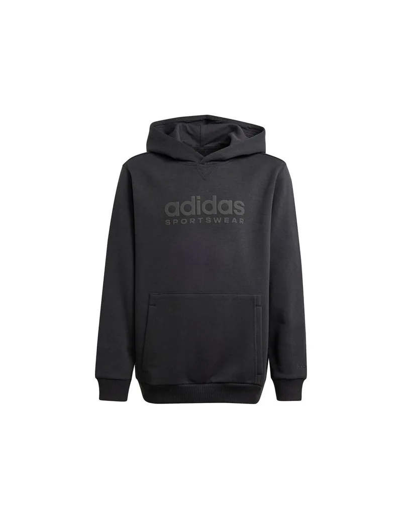 Adidas Allszn GFX HD Jr sweatshirt IS4661