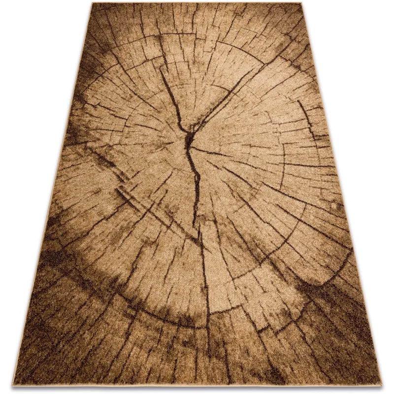 Χαλιά Rugsx Χαλί ασημένιο TRONKO Ξύλο δέντ 120x170 cm