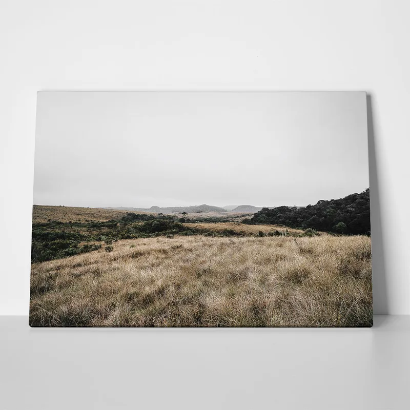 Πίνακας σε Καμβά RUSTIC FARMHOUSE FIELD 6