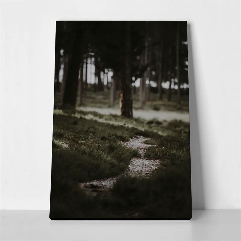 Πίνακας σε Καμβά RUSTIC FARMHOUSE MOUNTAIN PATH