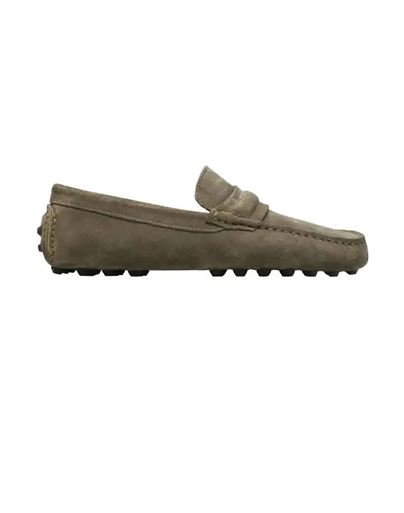 KALOGIROU ELIO ELIO SUE-00X1 Olive
