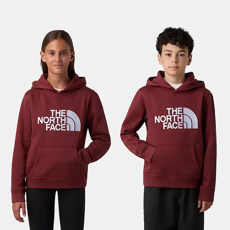 The North Face Teen Drew Peak Παιδική Μπλούζα με Κουκούλα (9000240017_83971)