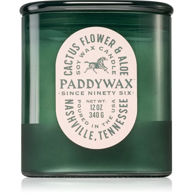 Paddywax Vista Cactus Flower & Aloe αρωματικό κερί 340 γρ