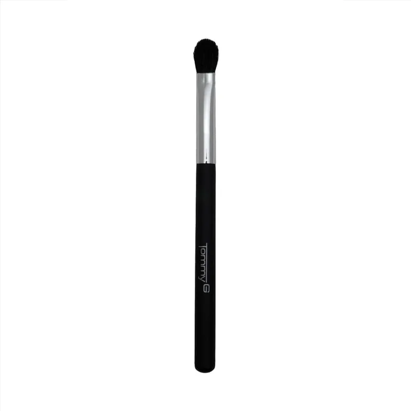 Eye Shadow Brush