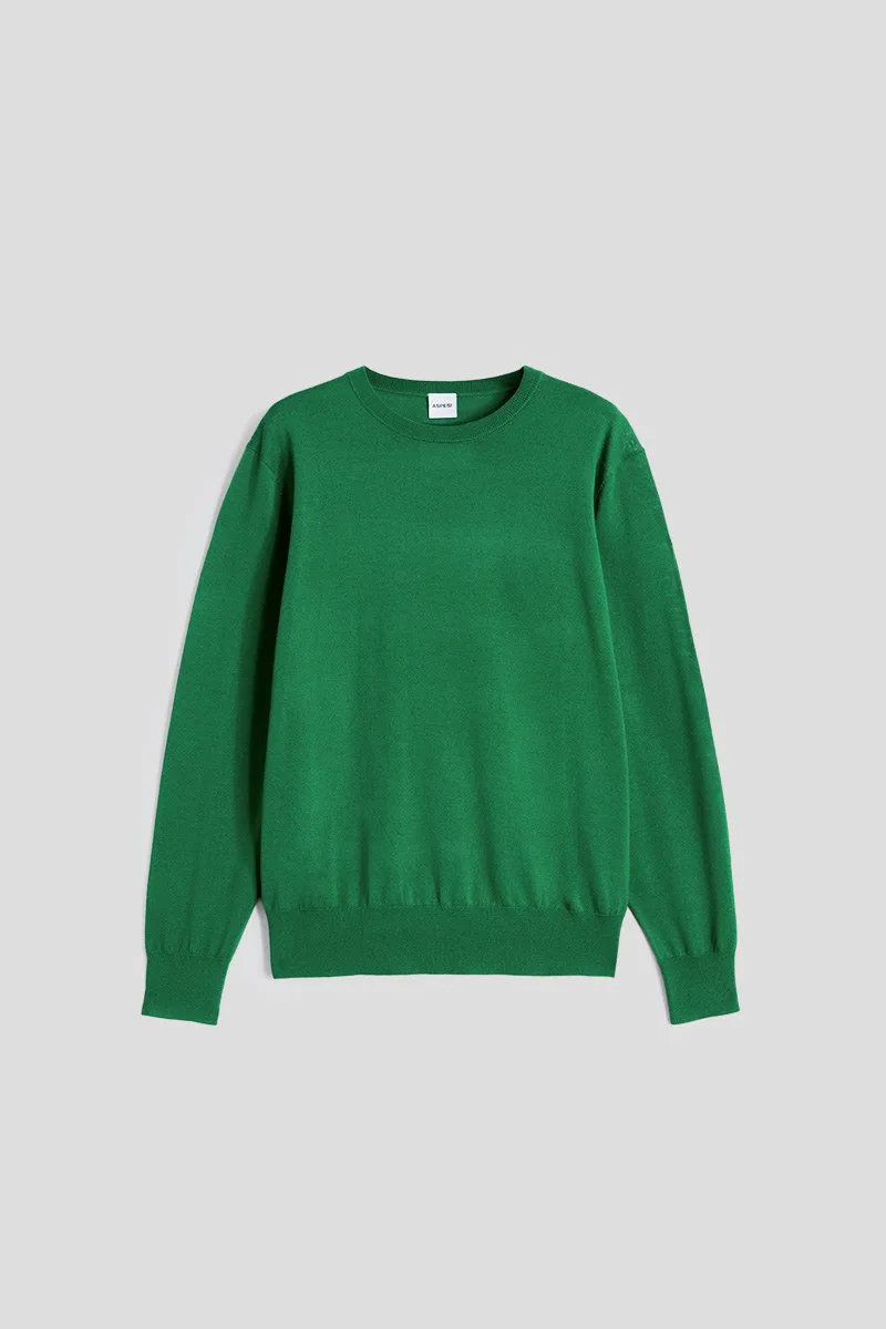 ASPESI Ανδρικό Πράσινο Merino Wool Crew Neck Jumper