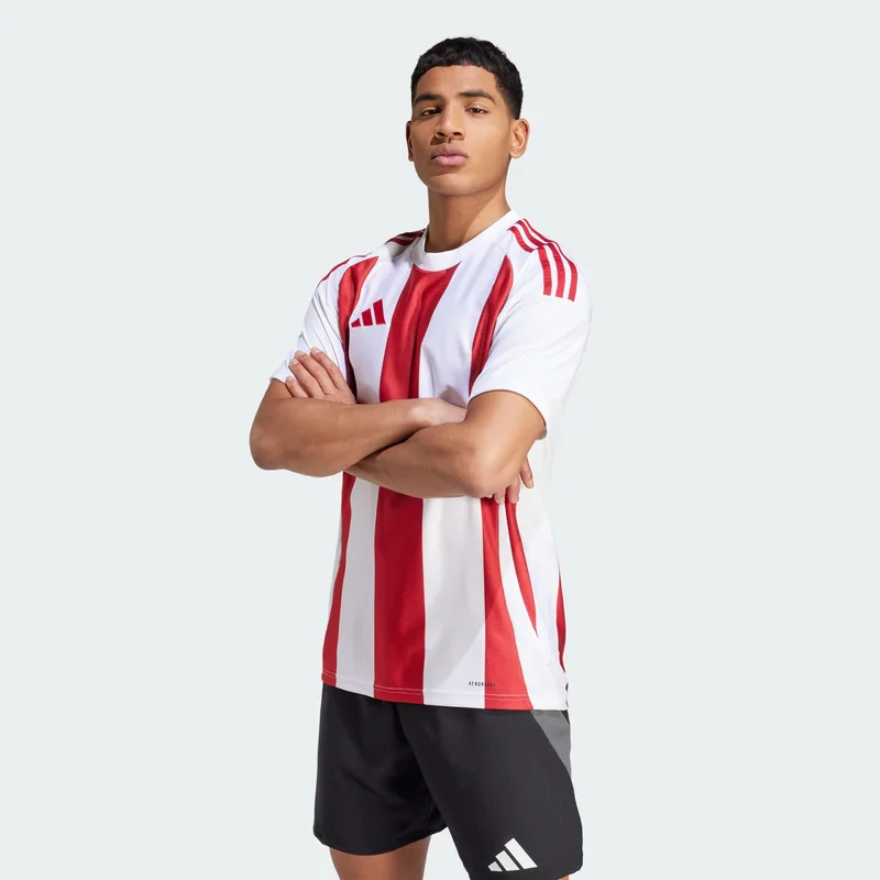 adidas Striped 24 Ανδρικό T-Shirt (9000239372_88033)