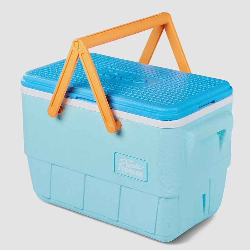 IGLOO Picnic Mist 25 Φορητό Ψυγείο (9000158168_17029)