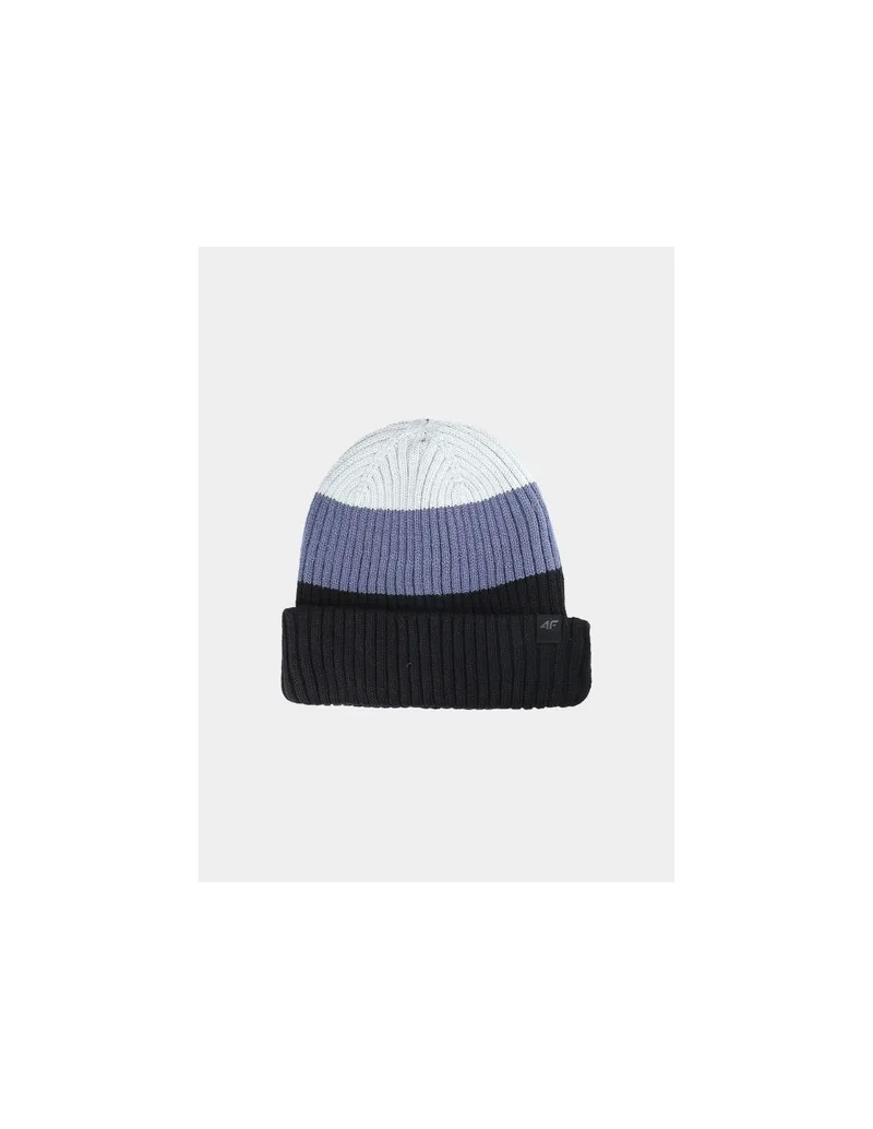 Men's winter beanie hat 4F 4FWAW25ACAPM62920S