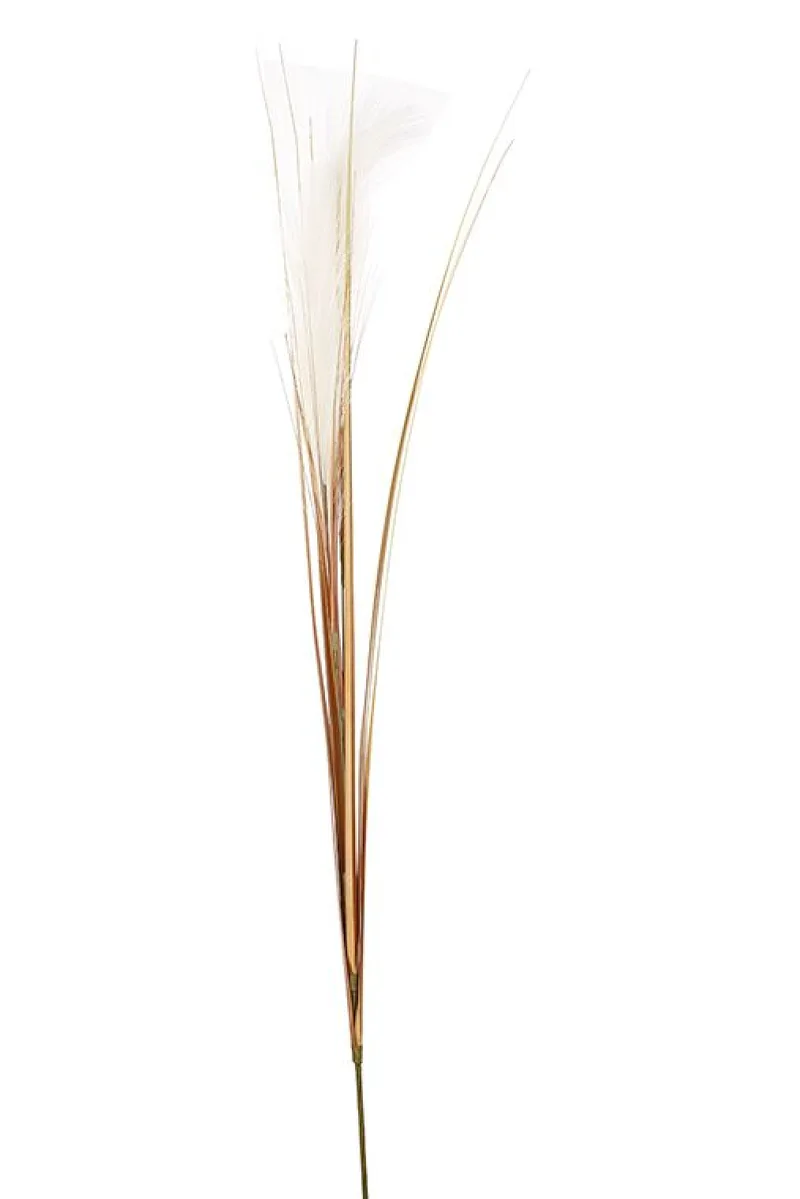 Φυτό Pampas 115x35x35cm Μονόχρωμο Kaeming