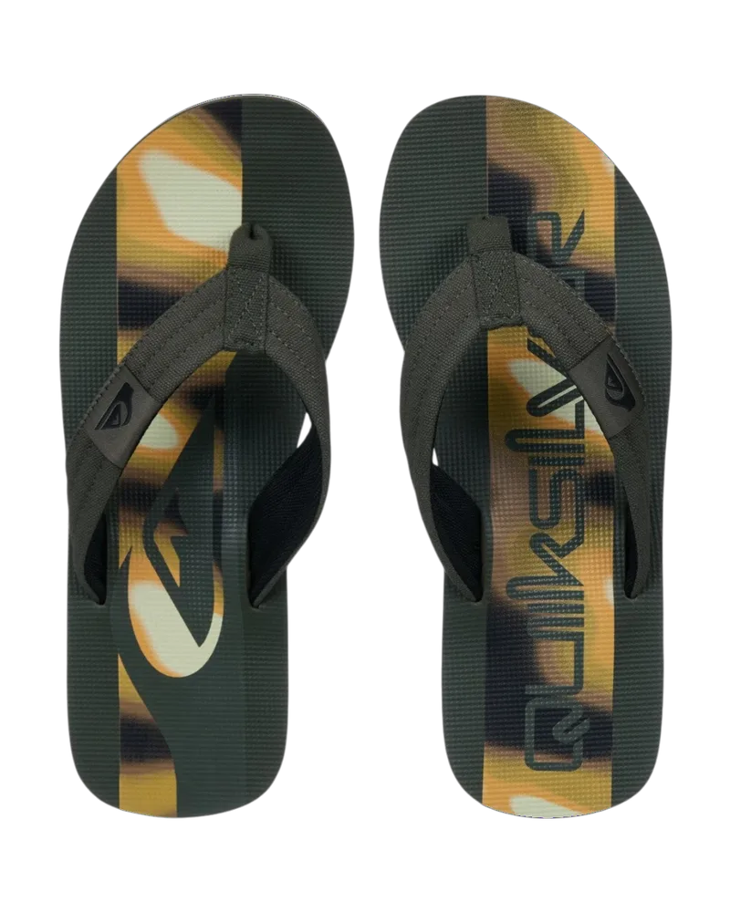 Quiksilver Ανδρικές Παντόφλες Molokai Layback EQYL100093-CRE6 Multi